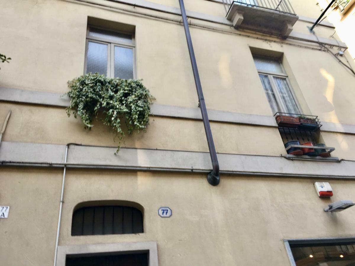 La Gemma Del Quadrilatero Apartment Turin Ngoại thất bức ảnh